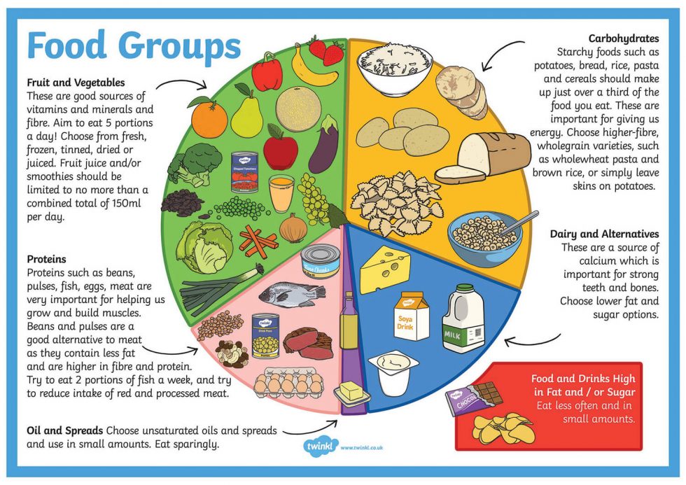 food-groups-poster